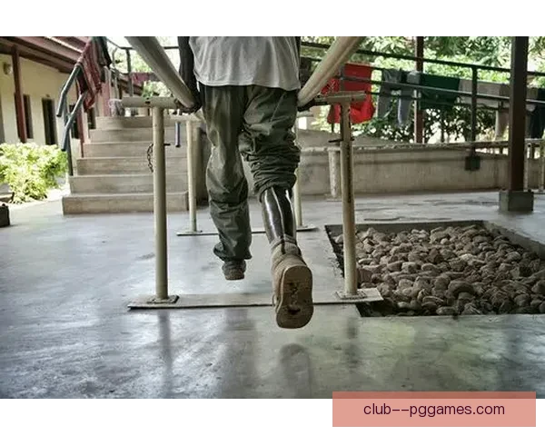 科尔十字韧带断裂后艰难康复过程中的挑战与坚持
